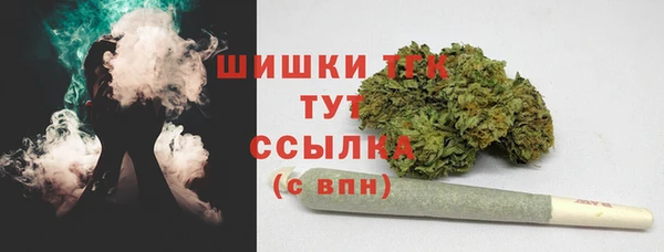 хмурый Магас