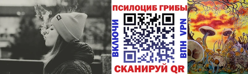 Купить закладки  Мамоново  Псилоцибиновые грибы мицелий 